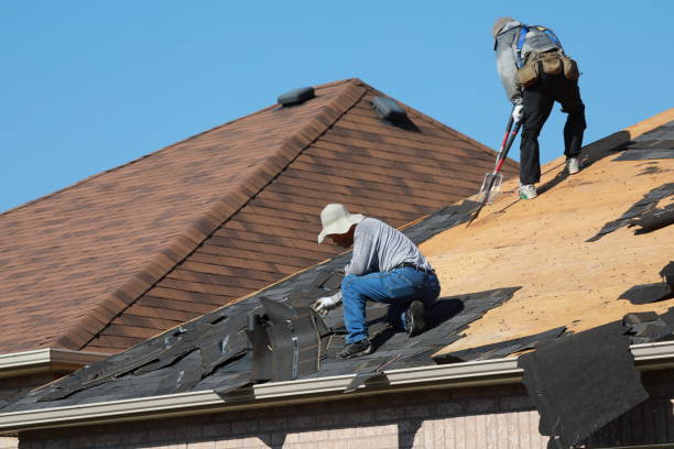 Best Roof Insulation Installation  in Blue Island, IL